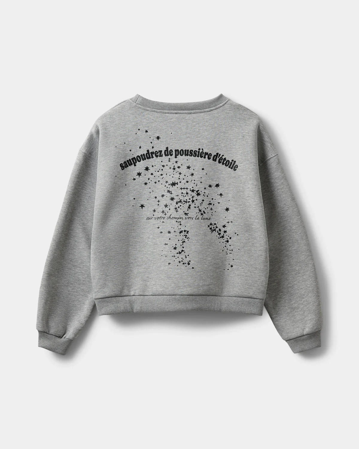 https://images.femalesconceptstore.becosoft.net/articles/ELINSW_SWEATSHIRT-Sweatshirt-S254435-8010_Grey_melange-5.webp?height=150&width=150&scale=canvas&qs=4128