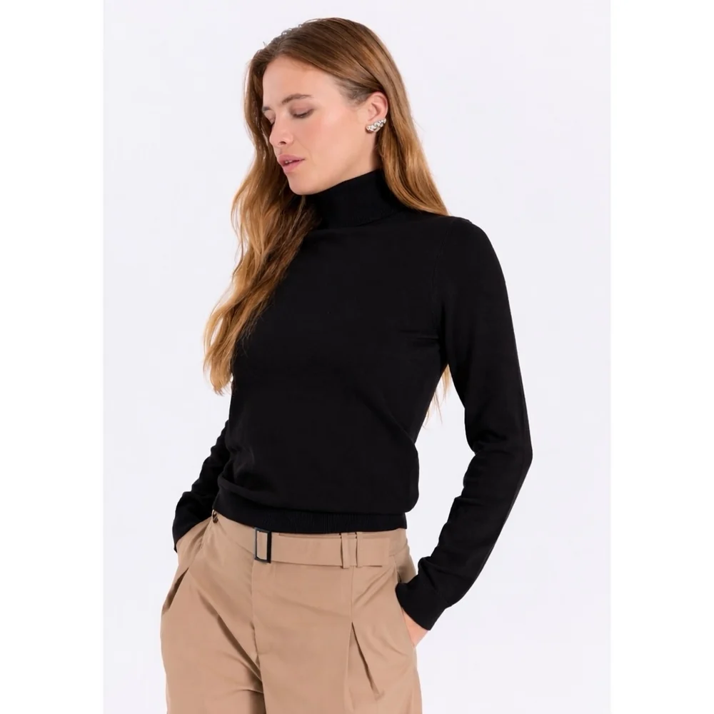 https://images.femalesconceptstore.becosoft.net/articles/Lena_roll_neck_knit_top-Knits-11863442-Black.webp?qs=6654